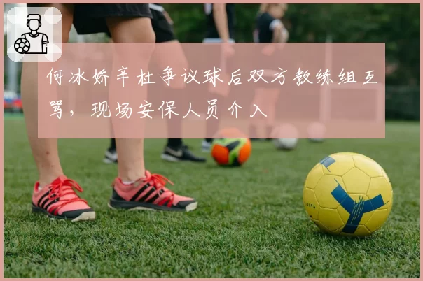 何冰娇辛杜争议球后双方教练组互骂，现场安保人员介入