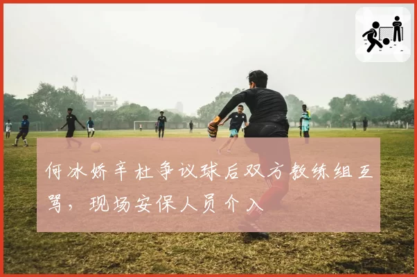 何冰娇辛杜争议球后双方教练组互骂，现场安保人员介入